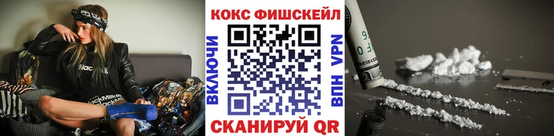 COCAIN Fish Scale  Купить закладки  Строитель 