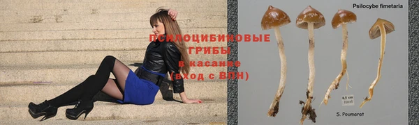 дурь Беломорск