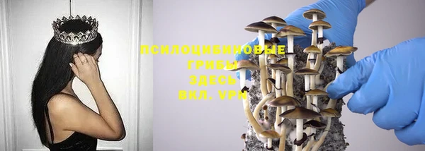 мдпв Белокуриха