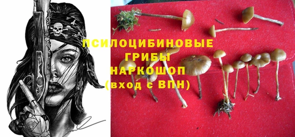 герыч Богородицк
