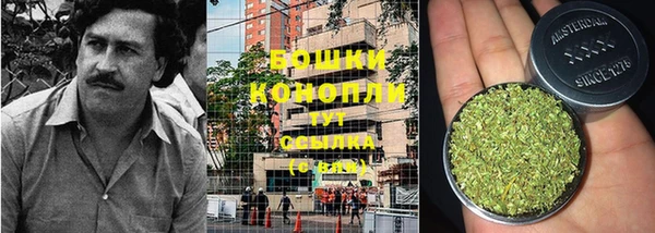 PSILOCYBIN Богородск