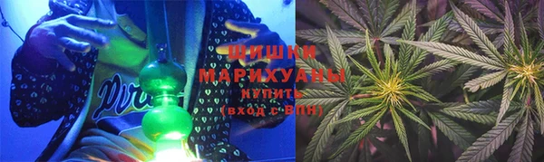 PSILOCYBIN Богородск