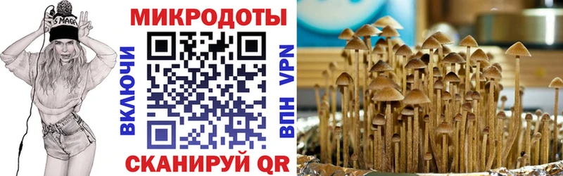 Галлюциногенные грибы Psilocybine cubensis  Купить закладки  Строитель 